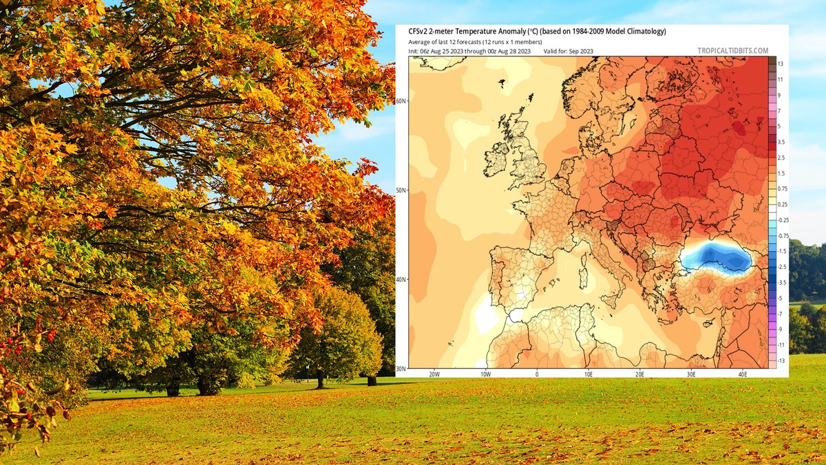 Lato szybko się nie skończy. Mamy najnowsze prognozy na wrzesień [MAPY]