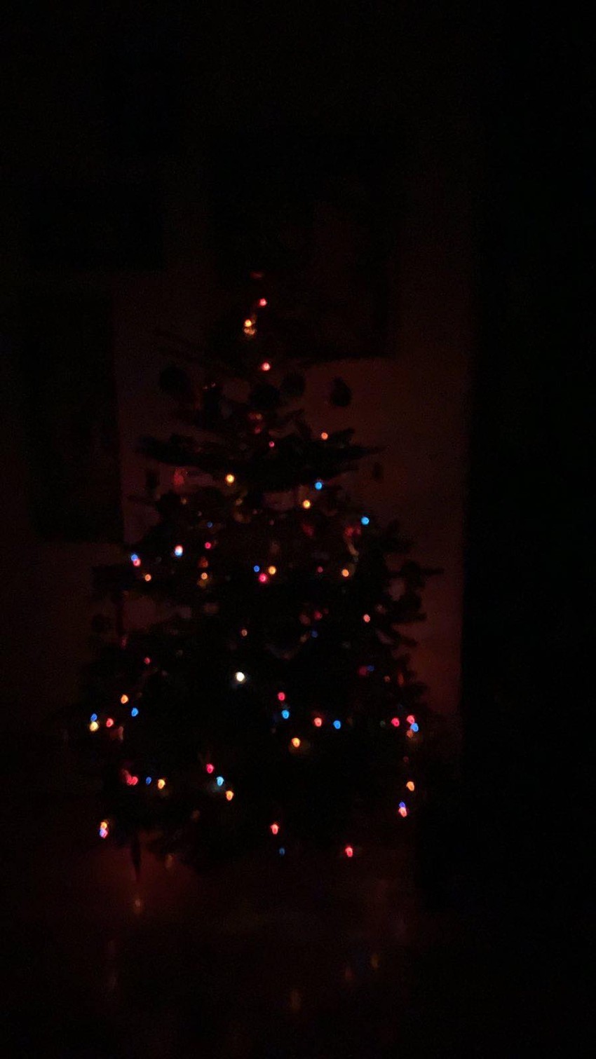 Roman je u kući postavio jelku čija je rasveta na baterije