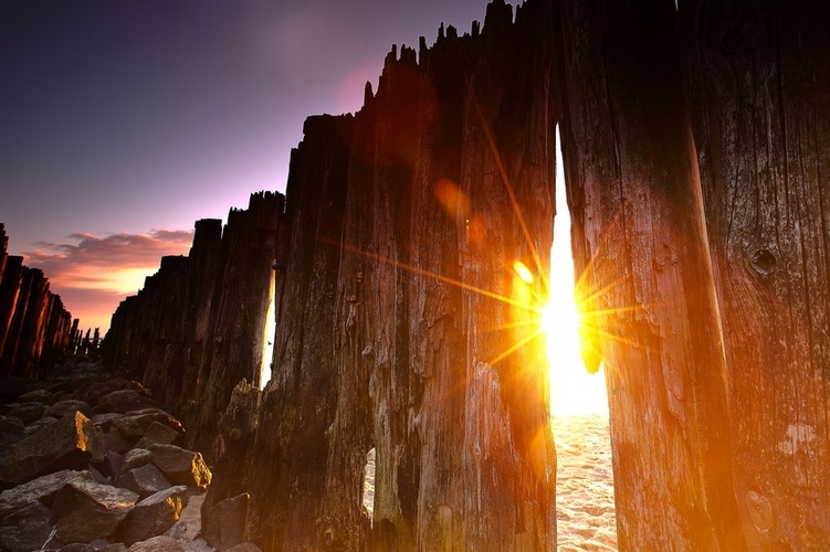 Fotografie autorstwa Katarzyny Figury