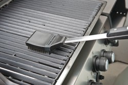 Gdzie można rozpalić grilla lub ognisko? Rzecznik PSP ostrzega