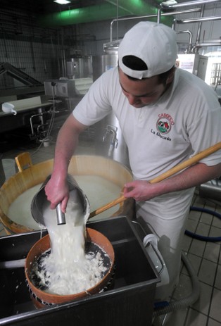 Belgijscy rolnicy protestują przeciwko spadkowi cen mleka