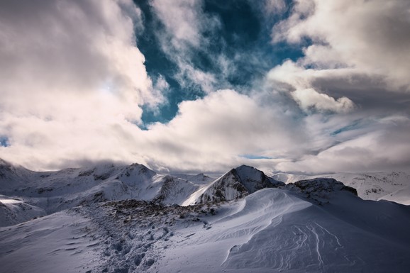 MISLILI SMO DA SU NESTALI, A SAD IH IMA PET Foto-zamke "ulovile" SENZACIJU na Šar-planini: "Ovo je dokaz da populacija raste"
