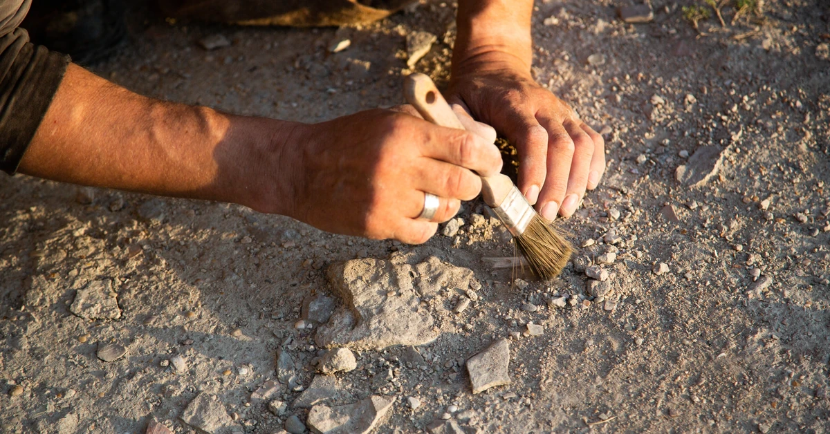 Gazociąg ujawnia szokującą tajemnicę. Szkielety elitarnej załogi grodu z X wieku