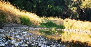 Golińska ws. Odry: Przeciwnik, z którym się mierzymy jest trudny
