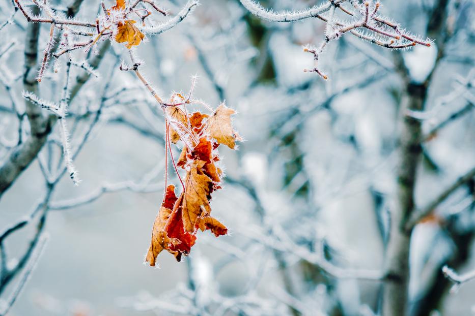 Sokáig nem kell még fagyoslókodnunk - fotó: Shutterstock