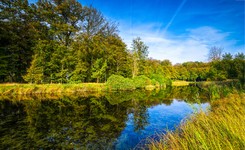 Rzeka uzyskała osobowość prawną. Może 'swobodnie płynąć' i być reprezentowana przed sądem