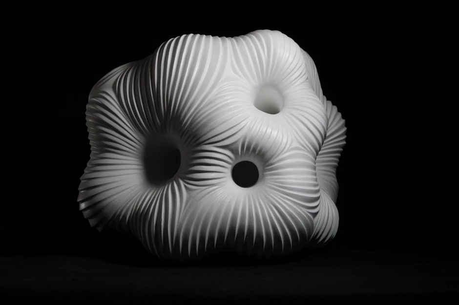 Julijana Protić - Belo, kao