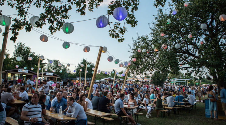 Hiába a több ezer ember, a Paloznaki Jazzpiknik családias hangulata semmihez sem hasonlítható /Fotó: Chripko Lili