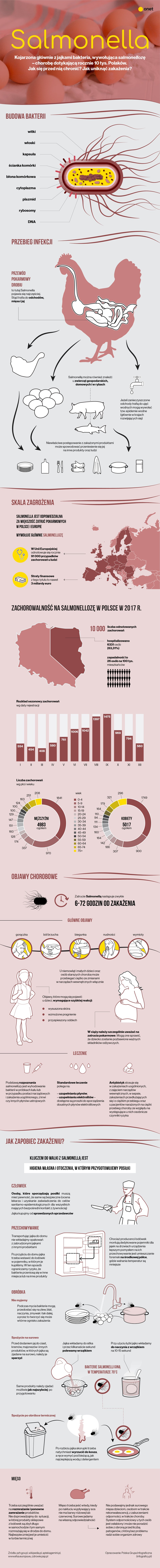 SALMONELLA [INFOGRAFIKA]