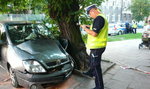 Wypadek w Łodzi. Ranne dzieci i ciężarna kobieta!