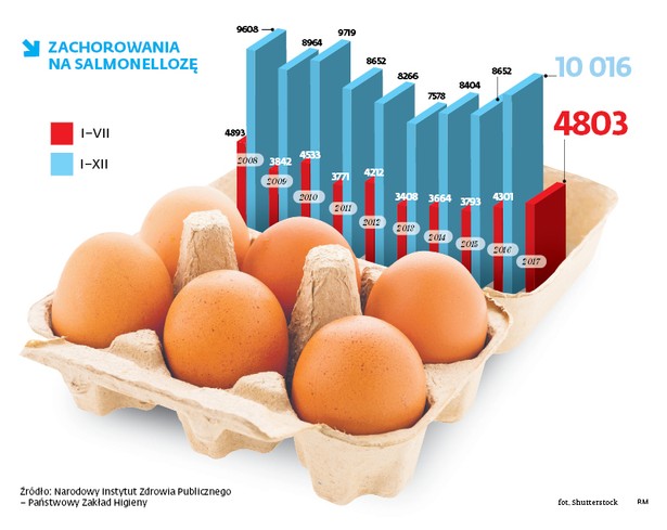 Salmonella groźna dla polskich jaj. Najwięcej zakażeń od dekady?