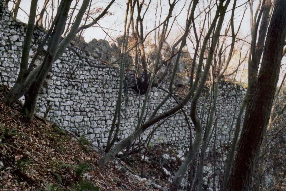 Bedemi Jerininog grada