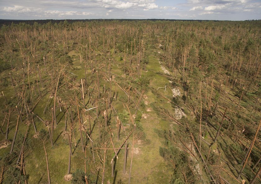 Złodziej okradł strażaków. Na ratunek przyszła Fundacja Faktu