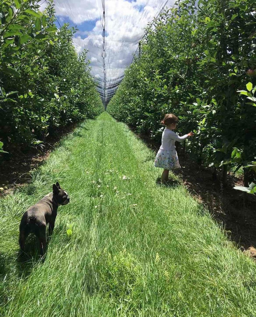 Svetlana Vukajlović danas se ozbiljno bavi poljoprivredom