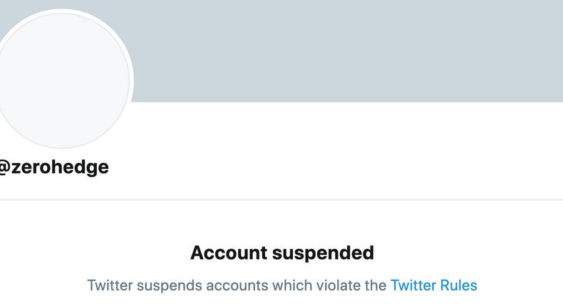 Zero hedge twitter suspension