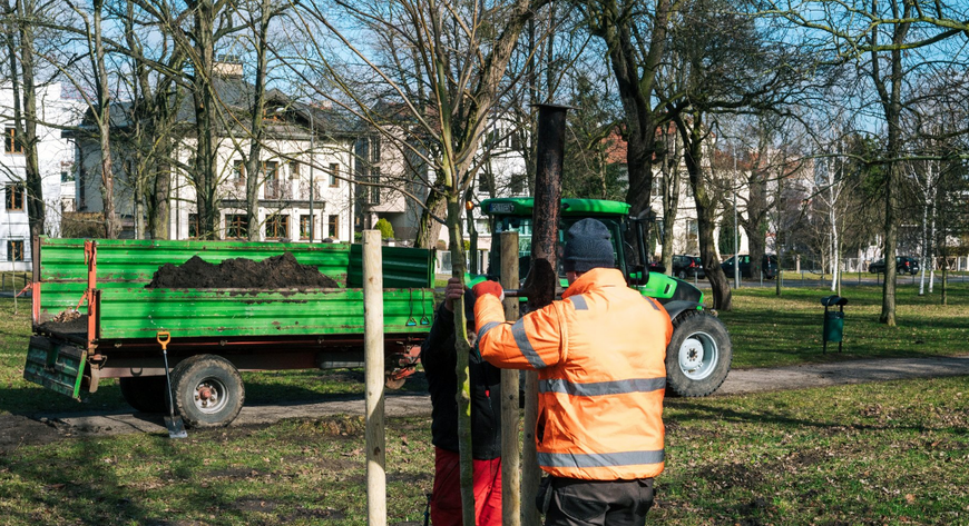 Pracownicy poznańskiego Zarządu Zieleni Miejskiej przystąpili do prac. Tej wiosny posadzą setki nowych drzew w miejskich parkach i przy drogach.