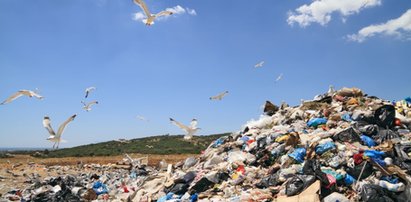 Makabryczne odkrycie na greckiej Krecie. "Myślałem, że to głowa lalki"