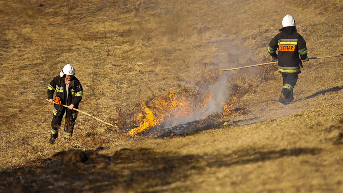 Strażacy walczą z licznymi pożarami traw w Suchej Beskidzkiej, policja szuka podpalaczy. Posypały się mandaty.