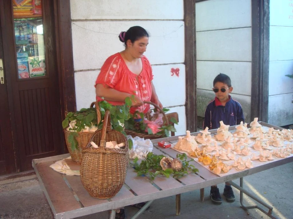 Za prodaju gljiva na pijacama praktično nije nadležna nijedna inspekcija