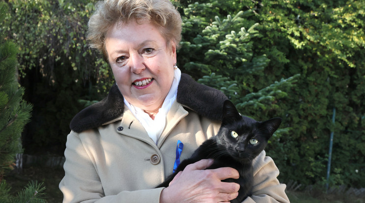 Kira, a fekete cica is kapott fenyegetéseket Popovics Judit szerint / Fotó: Grnák László