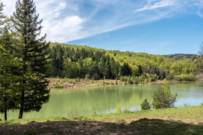 Planina Goč