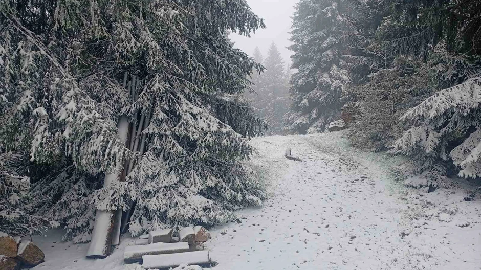 Snega na planinskom prevoju Jabuka 16. maja