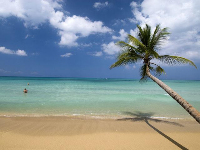 Z takich plaż słynie Dominikana