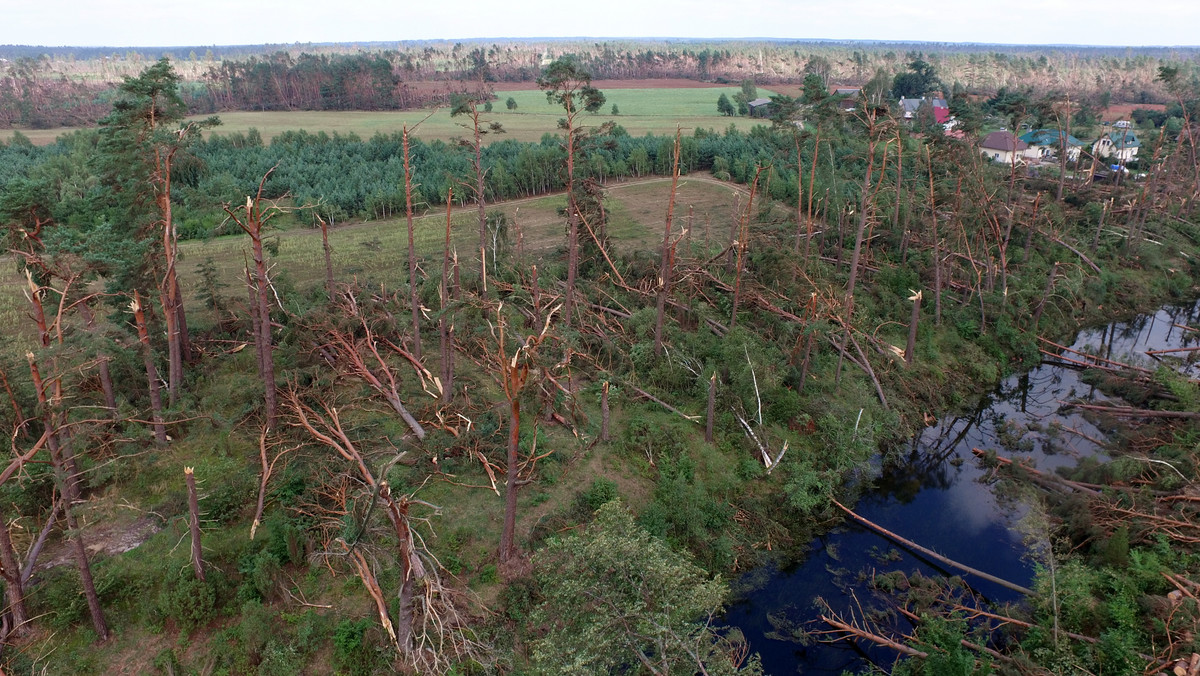 Wrocławska kuria włącza się w pomoc dla poszkodowanych w wyniku nawałnic, jakie tydzień temu przeszły przez Polskę. W niedzielę we wszystkich parafiach na Dolnym Śląsku zostanie przeprowadzona zbiórka pieniędzy. Wcześniej we Wrocławiu ruszyła już zbiórka darów dla poszkodowanych.