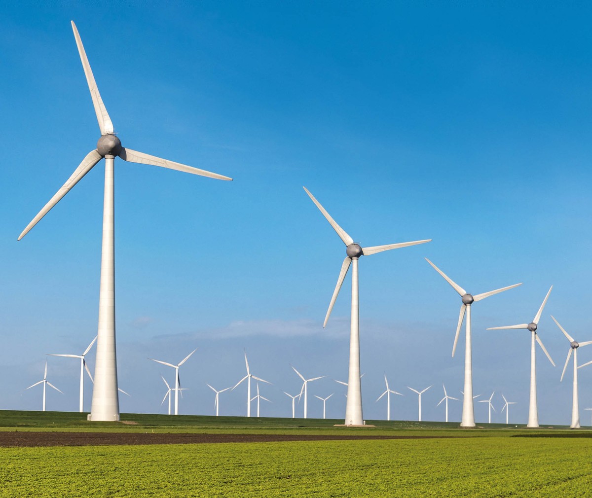 Jak wynika z informacji Polskiego Stowarzyszenia Energetyki Wiatrowej, w naszym kraju znajduje się ponad 50 farm wiatrowych.