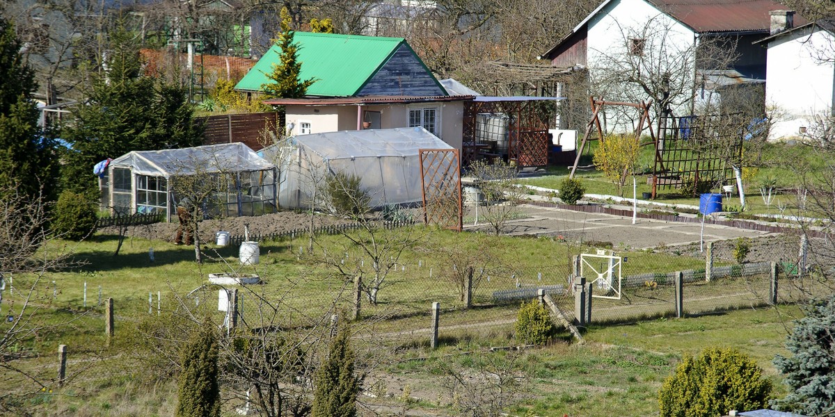 Z ogródków działkowych korzysta ok. 4 mln Polaków