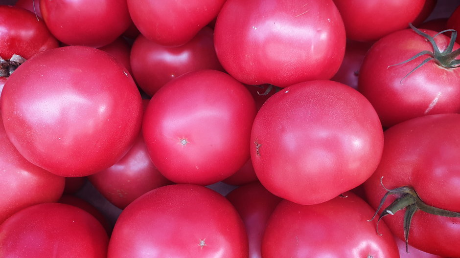 Pomidor malinowy - Paulina/stock.adobe.com