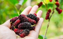 Jak jeść na wakacjach, aby nie przytyć? Dietetyk radzi