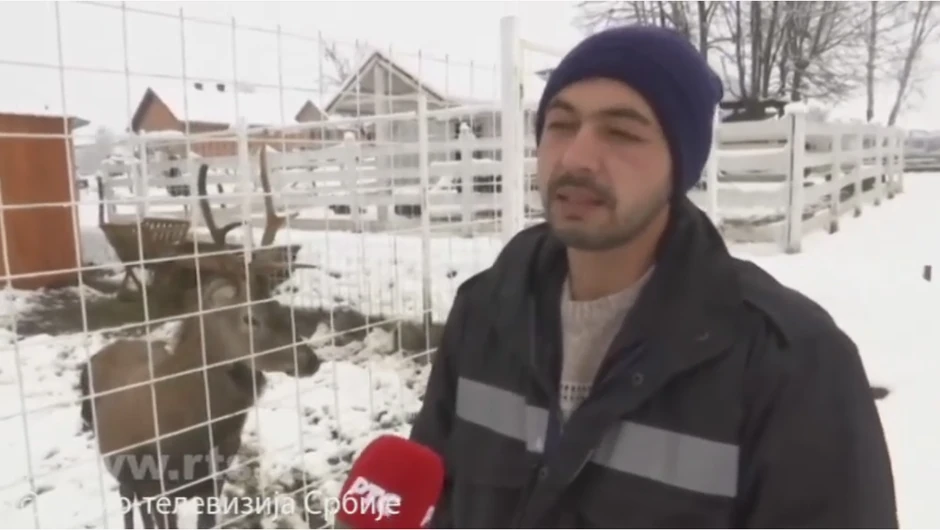 Milan Kojić, zoološki vrt Ub