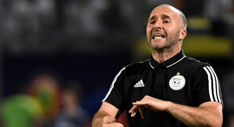 Djamel Belmadi made 20 appearances for Algeria as a player