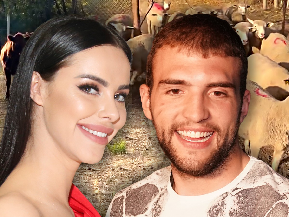 Veljko Ražnatović ranom zorom otišao sa Bogdanom na IMANJE OD 50.000 EVRA Pustili ovce na ispašu, snimio bikove na poljani i PRASIĆE: "Slava Bogu" (VIDEO)