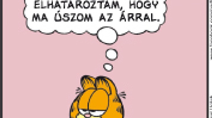 Garfield kitárulkozik a világnak