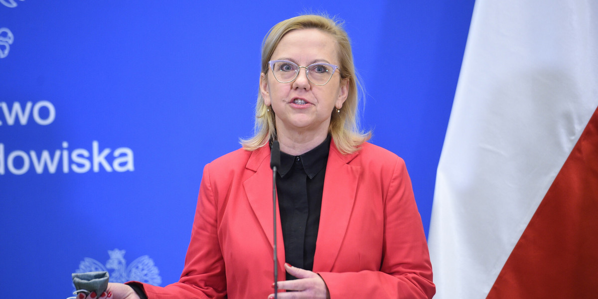 Zdaniem minister klimatu Anny Moskwy jeden element negocjowanej umowy z Czechami jest szczególnie kluczowy.