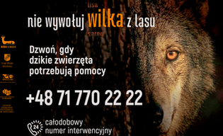 Widzisz dzikie zwierzę? Bądź rozsądny i bezpieczny!