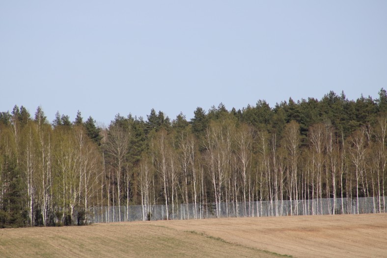 Metalowa zapora na granicy polsko-białoruskiej widziana od strony wsi Jałówka