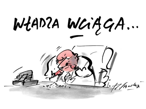 sawka władza x