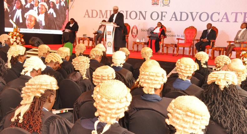 A group of lawyers during admission to the bar