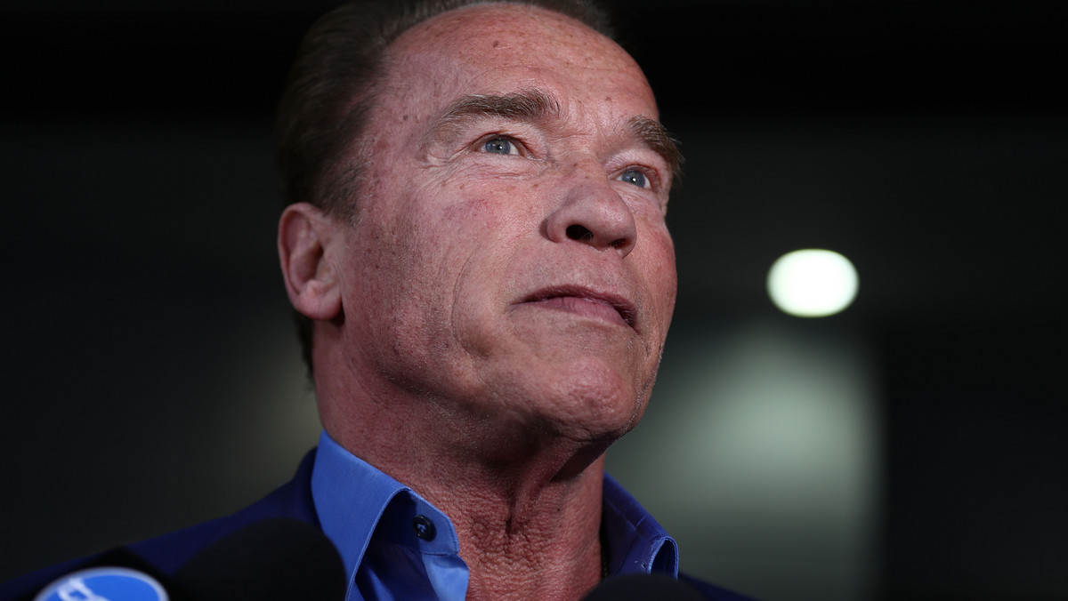 Arnold Schwarzenegger był już robotem, kulturystą, gubernatorem i barbarzyńcą. Gronu życzliwych, które z szyderczymi uśmiechami powtarzało, że po klęsce jako polityk i obyczajowych skandalach już się nie podniesie, musiała zrzednąć mina. Ten bowiem nie zrezygnował. 27 kwietnia Arnie powrócił na duże ekrany jako płatny zabójca w komedii "Dorwać Gunthera".