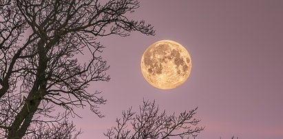 Superksiężyc 2022. Niesamowite widowisko na niebie. Kiedy i jak oglądać pełnię?