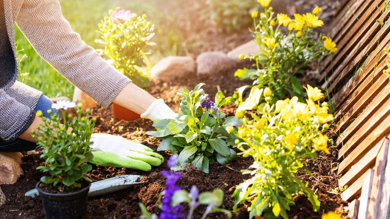 Príroda sa po dlhej zime konečne prebúdza.