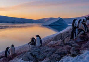 BBC | Foto: Jerome Viard/UKAHT/PA Wire