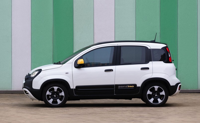 Fiat Pandina