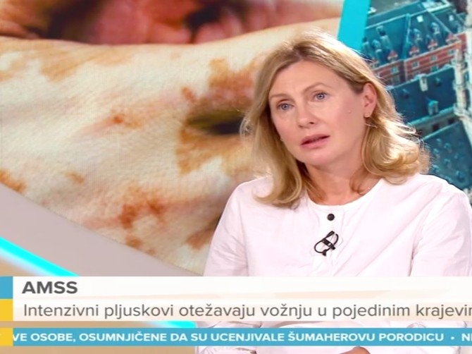 dr Jelena Stojkovic Fiilipovic