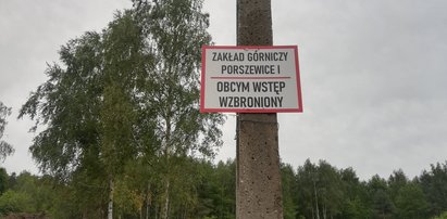 Kuria uruchamia kopalnię, społecznicy zrozpaczeni. "Pozostaje nam apelować do sumienia arcybiskupa"