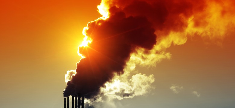 Protest Greenpeace na elektrowniach węglowych