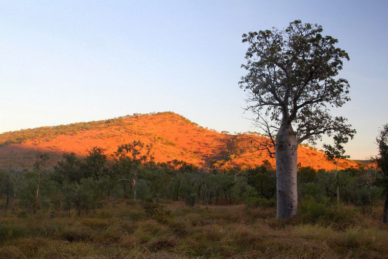 Australia – Płaskowyż Kimberley